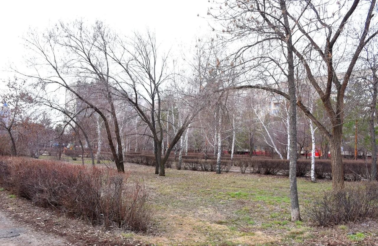 Сквер Жириновского – новая точка на карте Оренбурга Сквер Жириновского – новая точка на карте Оренбурга