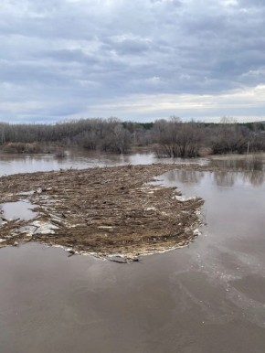 ������ ���� ��������, ������� ���� ������: ���������� ���������� � �������� 2 ������