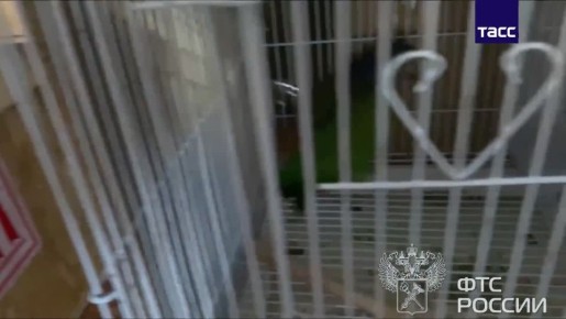 ���������� ��������� ����� 100 ������������ ���� �������� � ������������ �������, �������� � ���