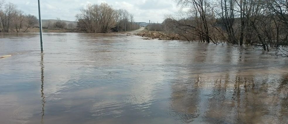 Как сегодня выглядят мосты в Бузулуке? Один из них затоплен, а второй находится от воды на расстоянии 10 см