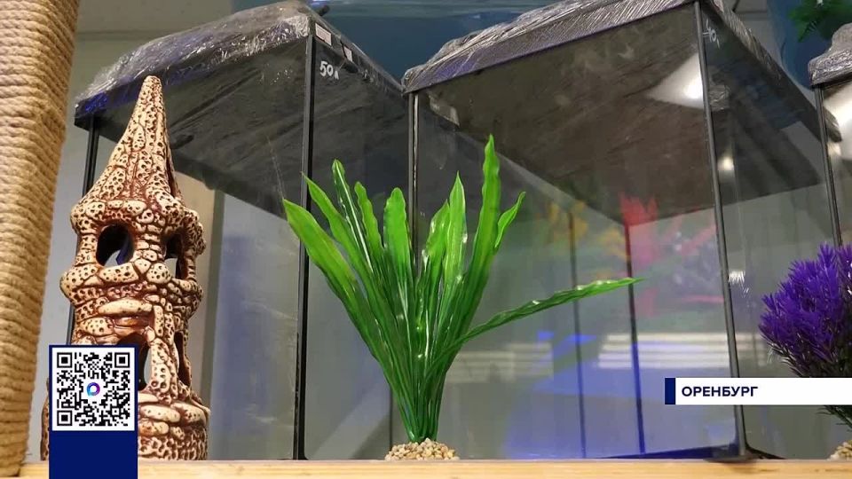 ��� ����� ����� ������� ����� �������� �����