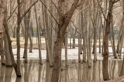 Оренбургский губернатор сообщил оперативную информацию по паводку в регионе