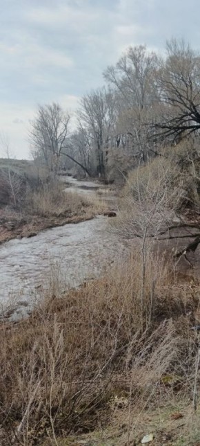 Данные по уровням воды в реках и работе водохранилищ в Оренбургской области на 4 апреля: