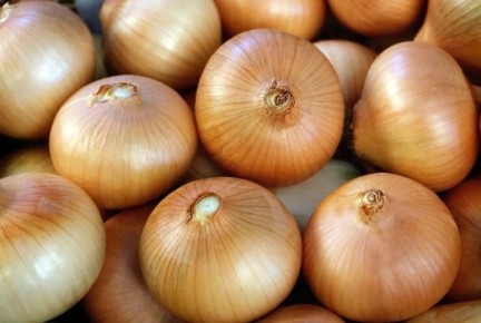 ����������� ������� ���� � ������ ������ � �������