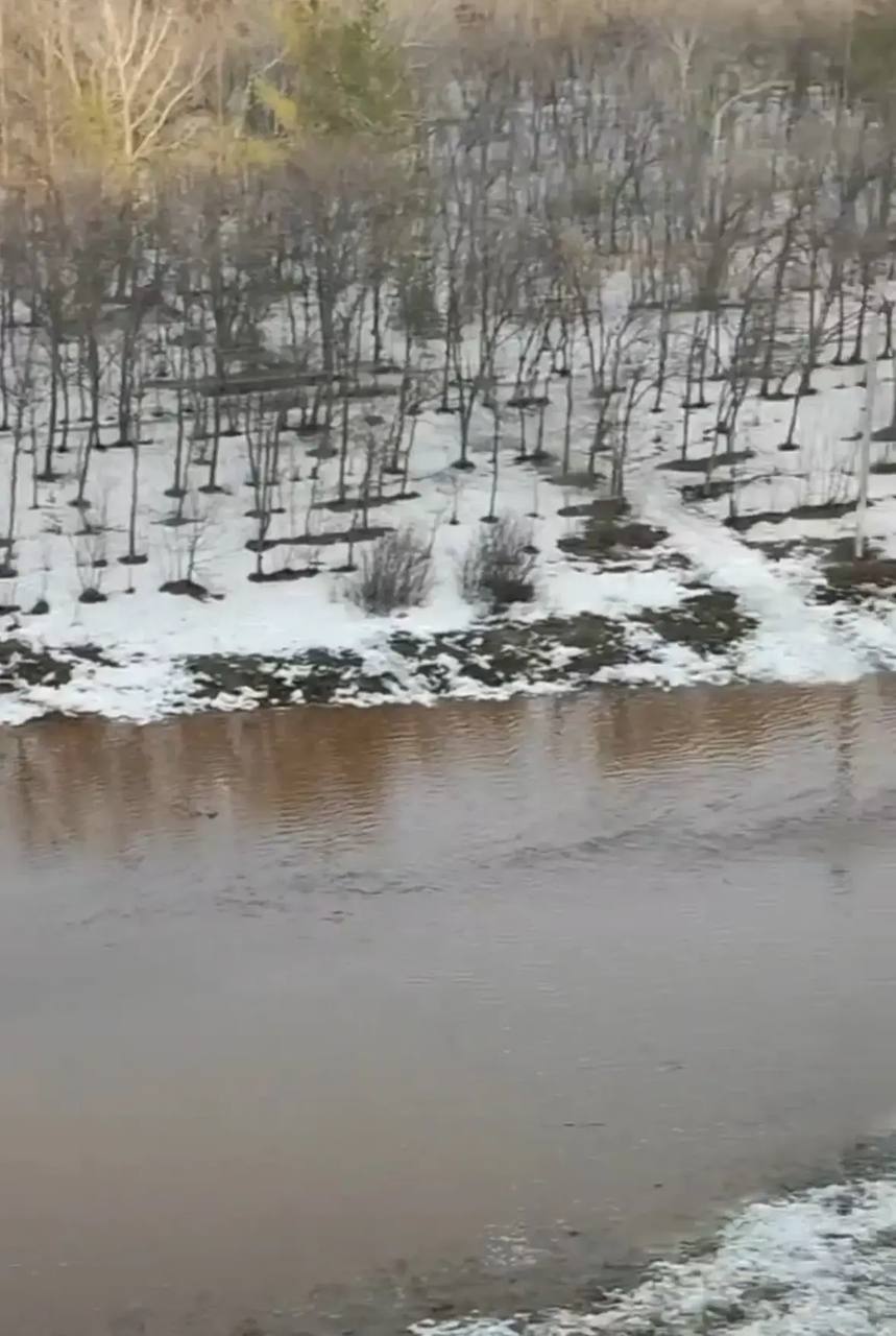 «Не благоустройство, а растрата»: Жители Оренбурга пожаловались на затопление в парке 16го микрорайона «Не благоустройство, а растрата»: Жители Оренбурга пожаловались на затопление в парке 16го микрорайона