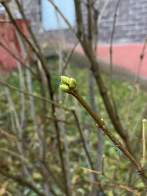 ���� ��� �����: ��� ������� ��� ����� �����