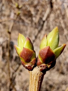 ������ ����! � ����� ������� �������, � ����� ������� ���������!