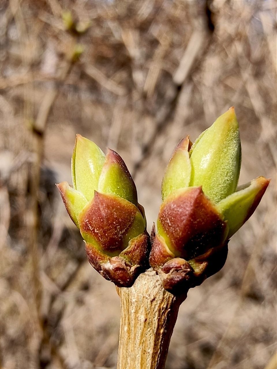 Доброе утро! С новой рабочей неделей, с новой учебной четвертью!