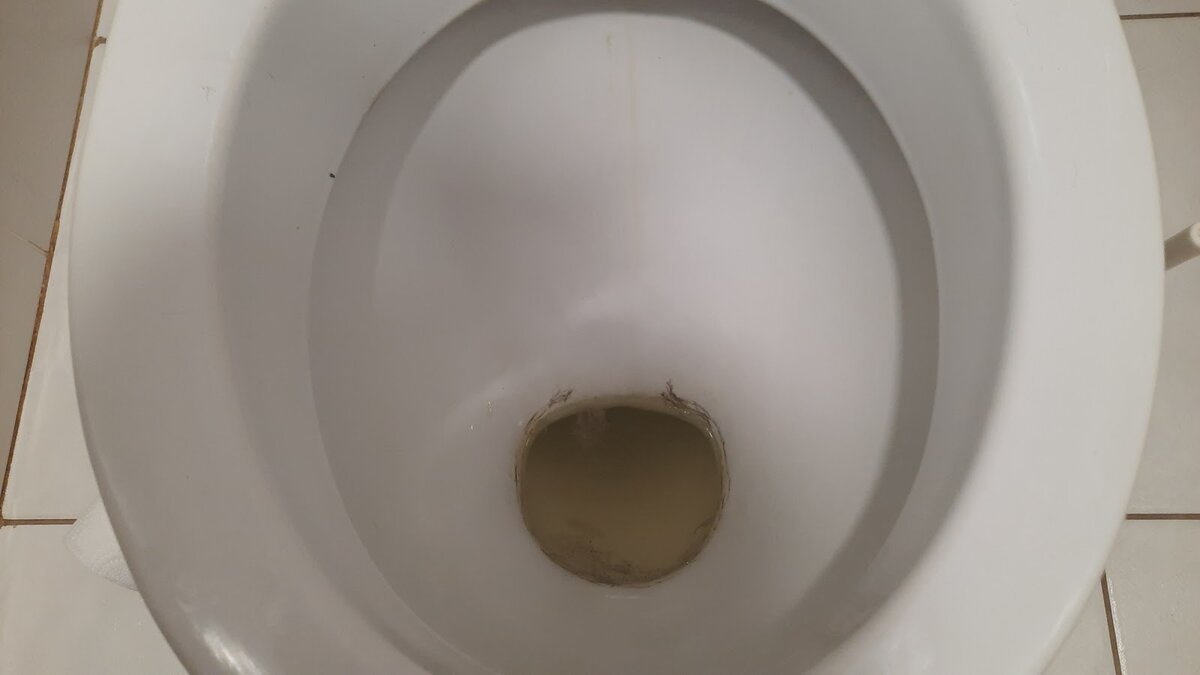 Эффективные методы чистки унитаза: как избавиться от налета раз и навсегда