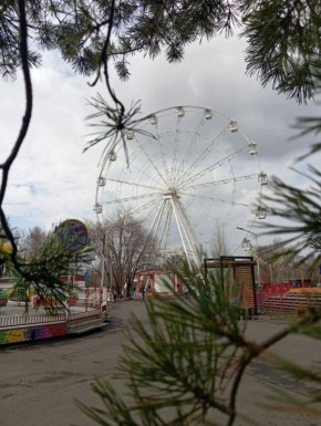 ������������� ����������� ������� ������������ ������� �� ���� ������