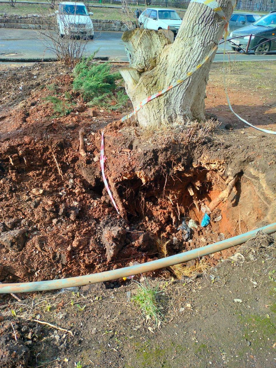 Раскопали и бросили: В центре Оренбурга участок после поиска протечки так и не привели в порядок Раскопали и бросили: В центре Оренбурга участок после поиска протечки так и не привели в порядок