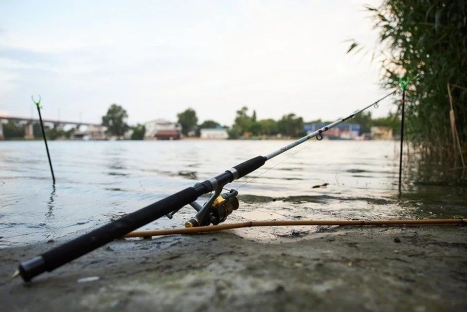 ��� ��������� ����: ������ ���������������� � �������� ����