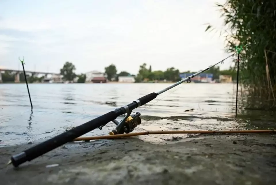 Как сохранить улов: советы гастроэнтеролога о хранении рыбы