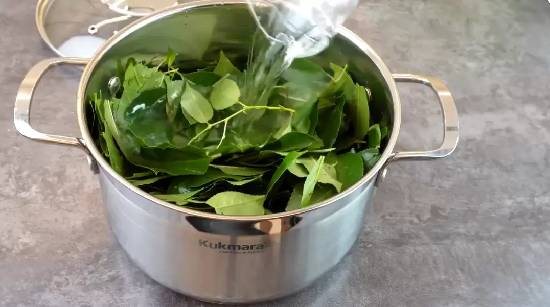 Уникальный рецепт варенья из вишневых листьев, который удивит вас