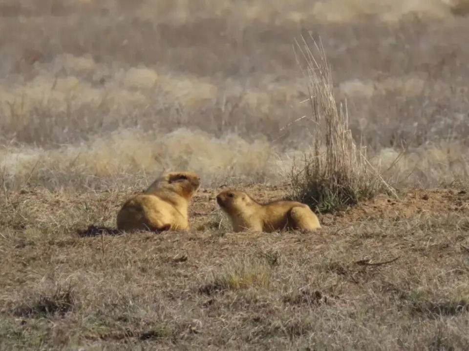 ����� �������� � ������������ ������� ������ ������ ���� �������� � ����