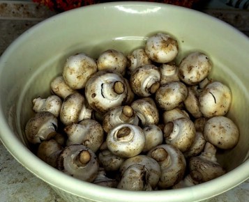 Легкий способ очистки шампиньонов