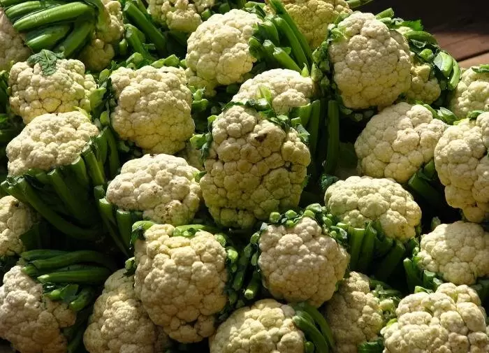 Как успешно вырастить цветную капусту: советы для садоводов