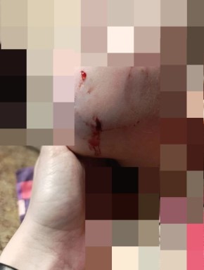 � ������ ����� ��������� ������ ����������� �� 4-������ ������� � ��������