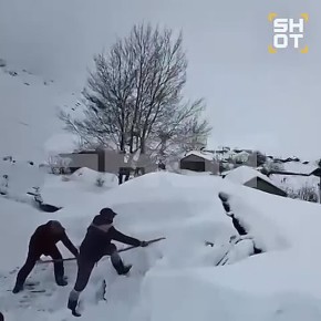 ���� �� ��� ��������� �������� �� ���� ��-�� ���������