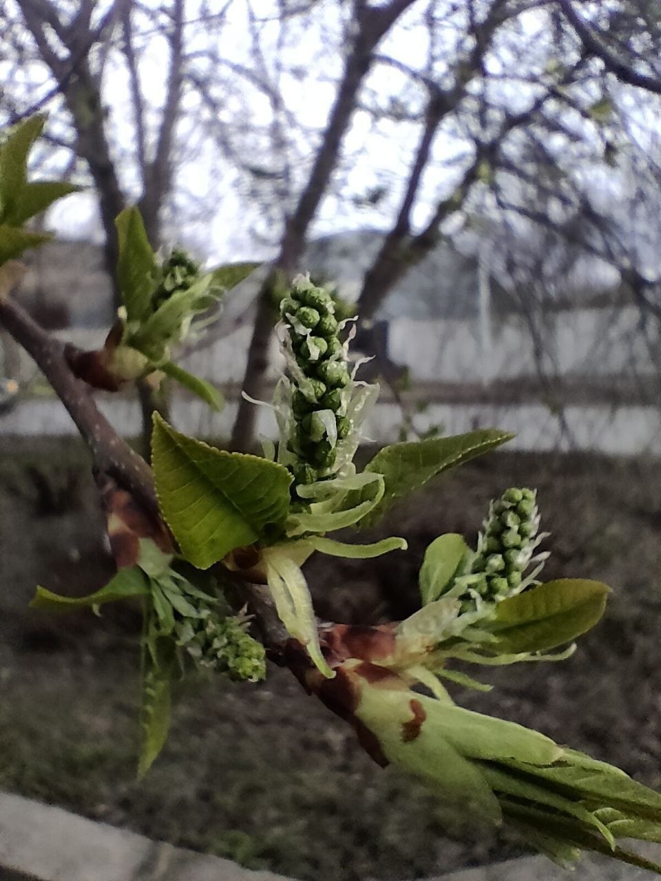 Доброе утро! Прогноз погоды на 8 апреля