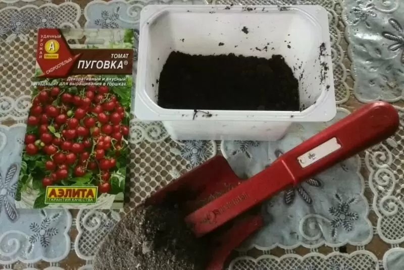 Как эффективно обеззаразить почву перед посевом семян на рассаду