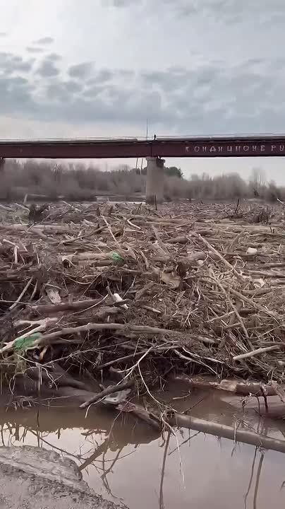 ������ ���� � �������� ������� � �������� ����� �������