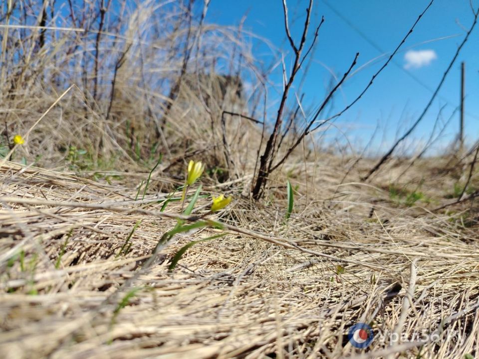 � ������������ ������� �������������� �����