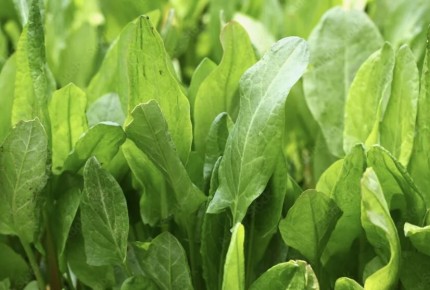 ������ ����� ������: ��� ��������� �������� ������ ���� ������