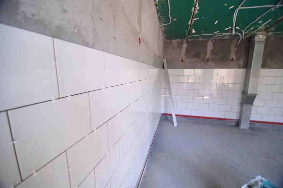 � ������ ������ � ���������, ������������ �� ������� � 2024 ����, ������������ ������