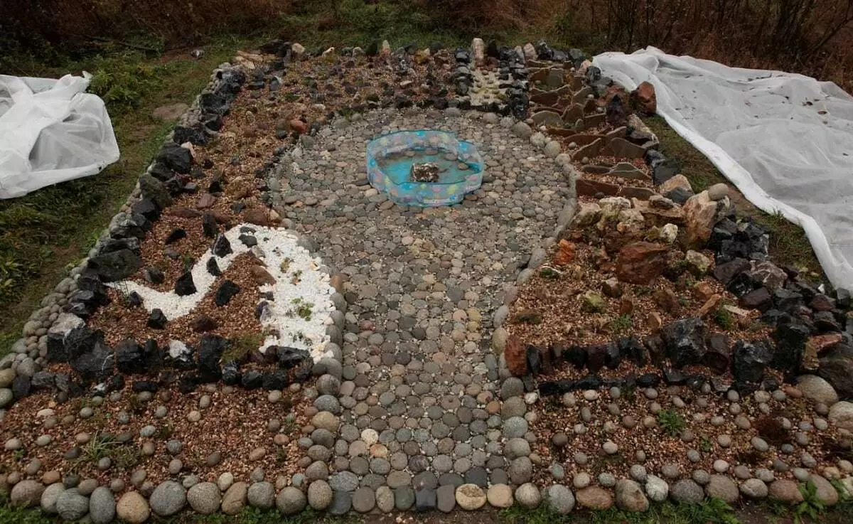 Как мечты о каменистом саде становятся реальностью: вдохновение и трудности на пути к идеальному уголку