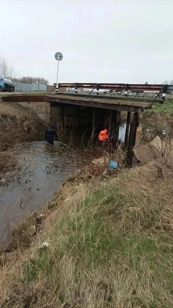 В Октябрьском районе две недели ищут утонувшего мальчика В Октябрьском районе две недели ищут утонувшего мальчика