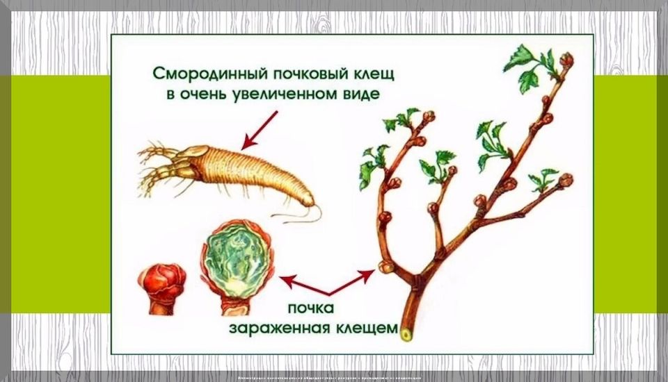 ������� ���������� ������������: ���������� ������ ��� ���������