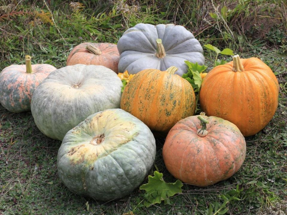 ������� ����� � �������� �����: ��� ������� ��������� ������ ��� ������