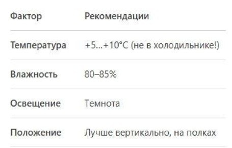 Когда собирать кабачки для долгосрочного хранения