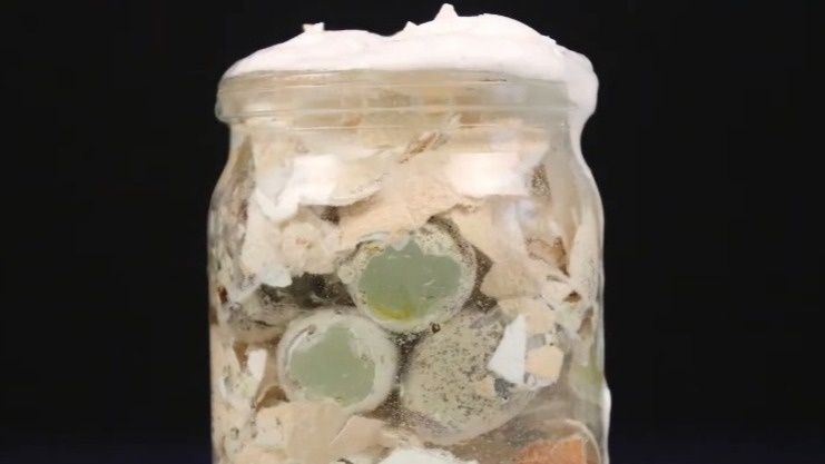 ��� ����� ��������� ��������: ������� ������������� ��������� �� ������ ��������