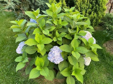 ���� � ���������� ������: ��������� ���������� � ����� ��� ��������� � ���