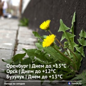 Доброе утро