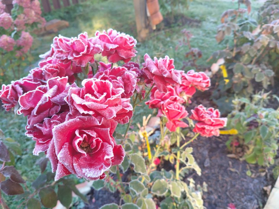 ������� ������ ����: ���������� ������� � �������� ����� �� ����