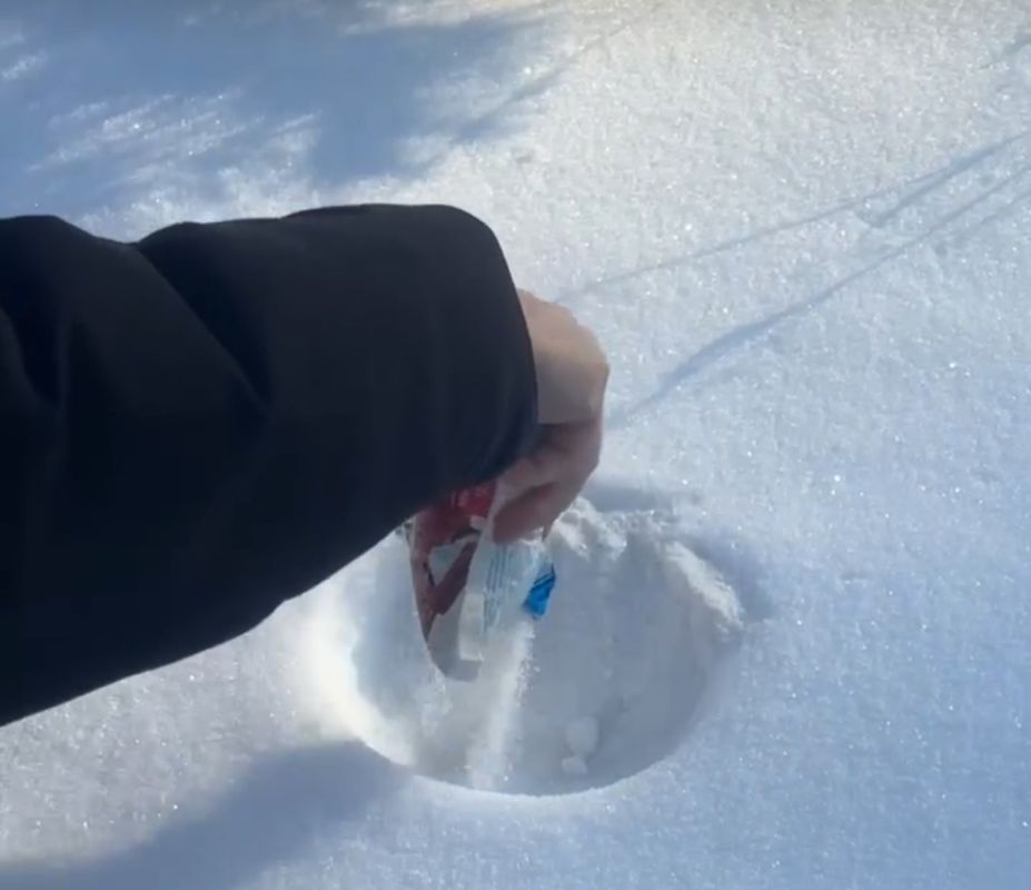 ��� ������� ��������� � �����: ������������� ������ � ���������� �����������