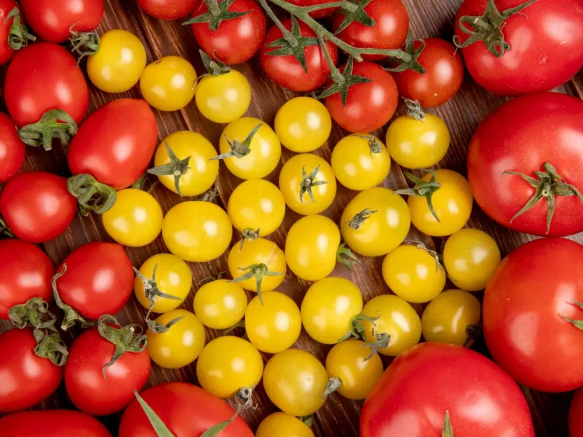 Огромная сила пищевой соды: секреты ухода за помидорами