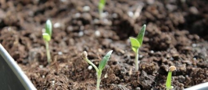 ������� ������ � ��� ������ ������?