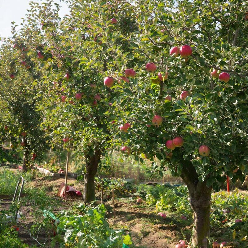 ������ ������ ������� �����? ������� ������ ��� ������ ����