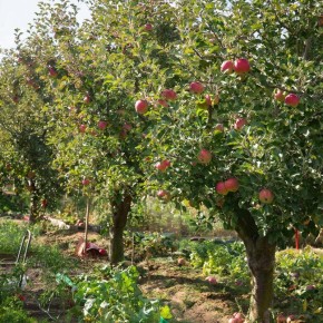 ������ ������ ������� �����? ������� ������ ��� ������ ����