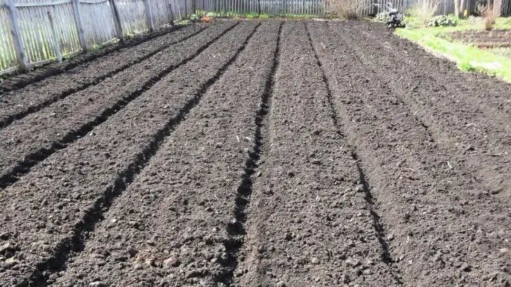 ����� �������� ��������� ������: ��� ���������� �� ����������� ��� ������ ������