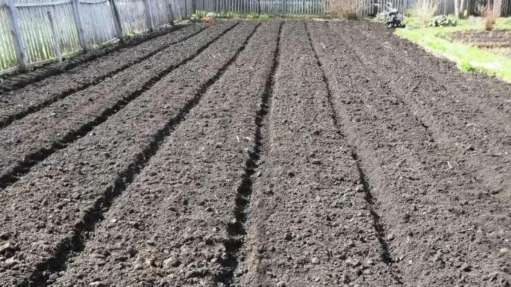 Тайна создания идеальных грядок: как избавиться от неровностей без лишних усилий