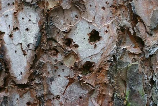 ��� ���������� ������ �������� � ����������� � ����: ������ � ������������