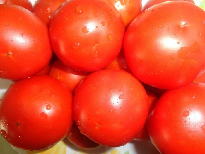 ����� �������� ������: ������� ��������� ������� ������