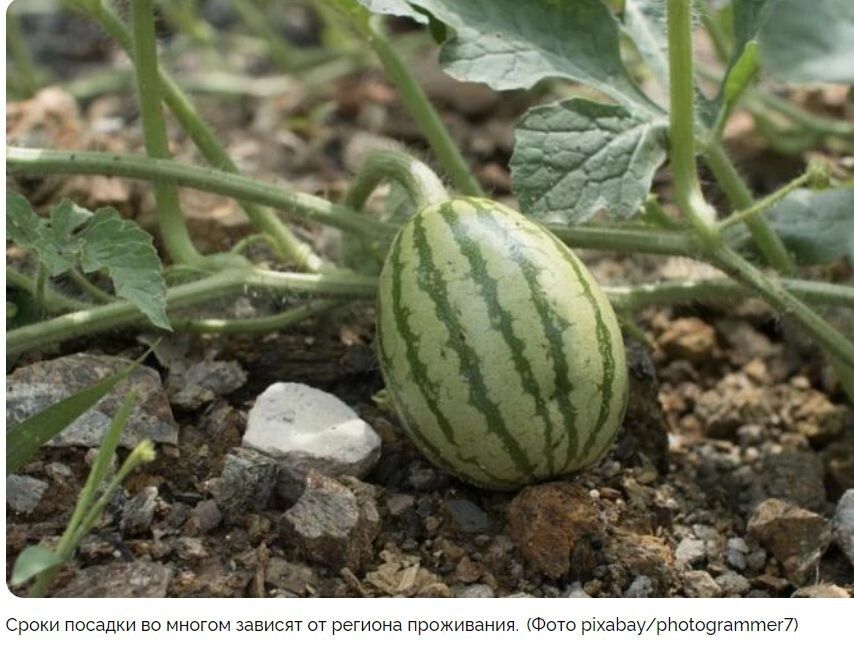 ������ �� ����������� �������