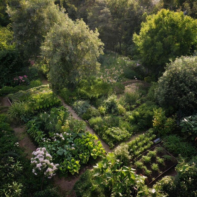 ����������� ������: ��� ������ ������� ��� ��� �� ��������