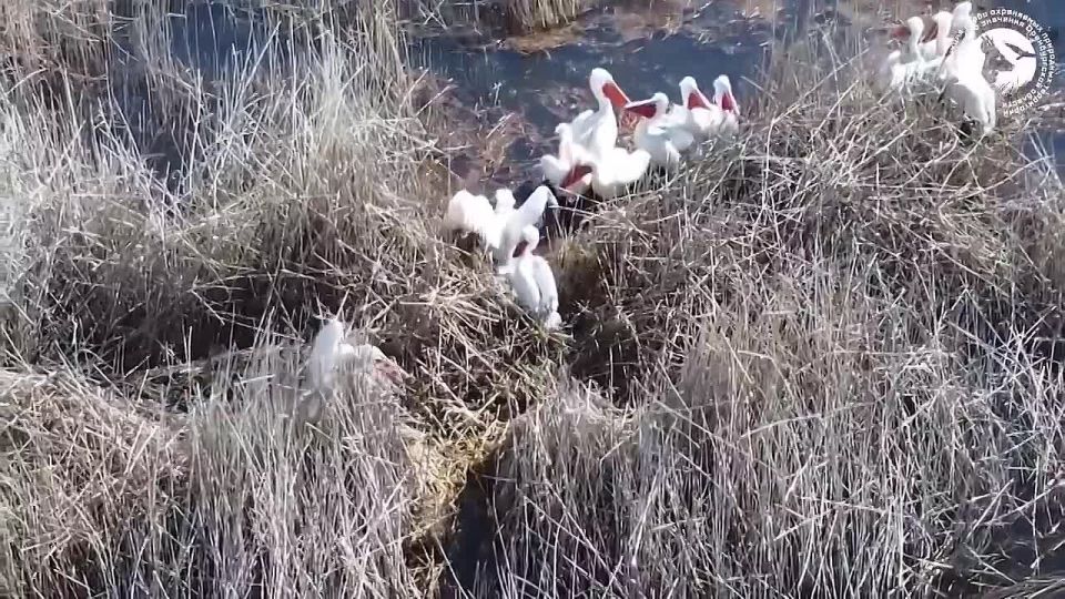 �� ����� � ������������ ������� ���������� �������� ��������